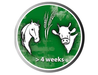 Agri Work Placement and English Programme